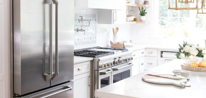 stainless steel kitchen appliances