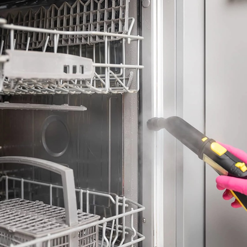 how to remove mold from dishwasher