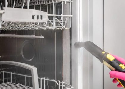 how to remove mold from dishwasher