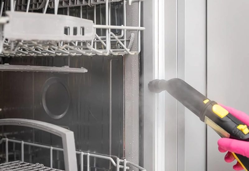 how to remove mold from dishwasher