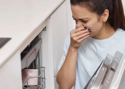 Why does my dishwasher smell bad?