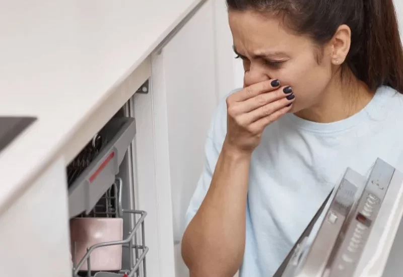 Why does my dishwasher smell bad?