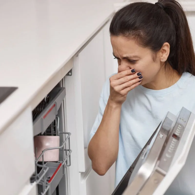 Why does my dishwasher smell bad?