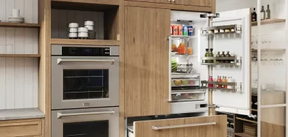 built-in kitchen appliances