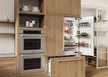 built-in kitchen appliances